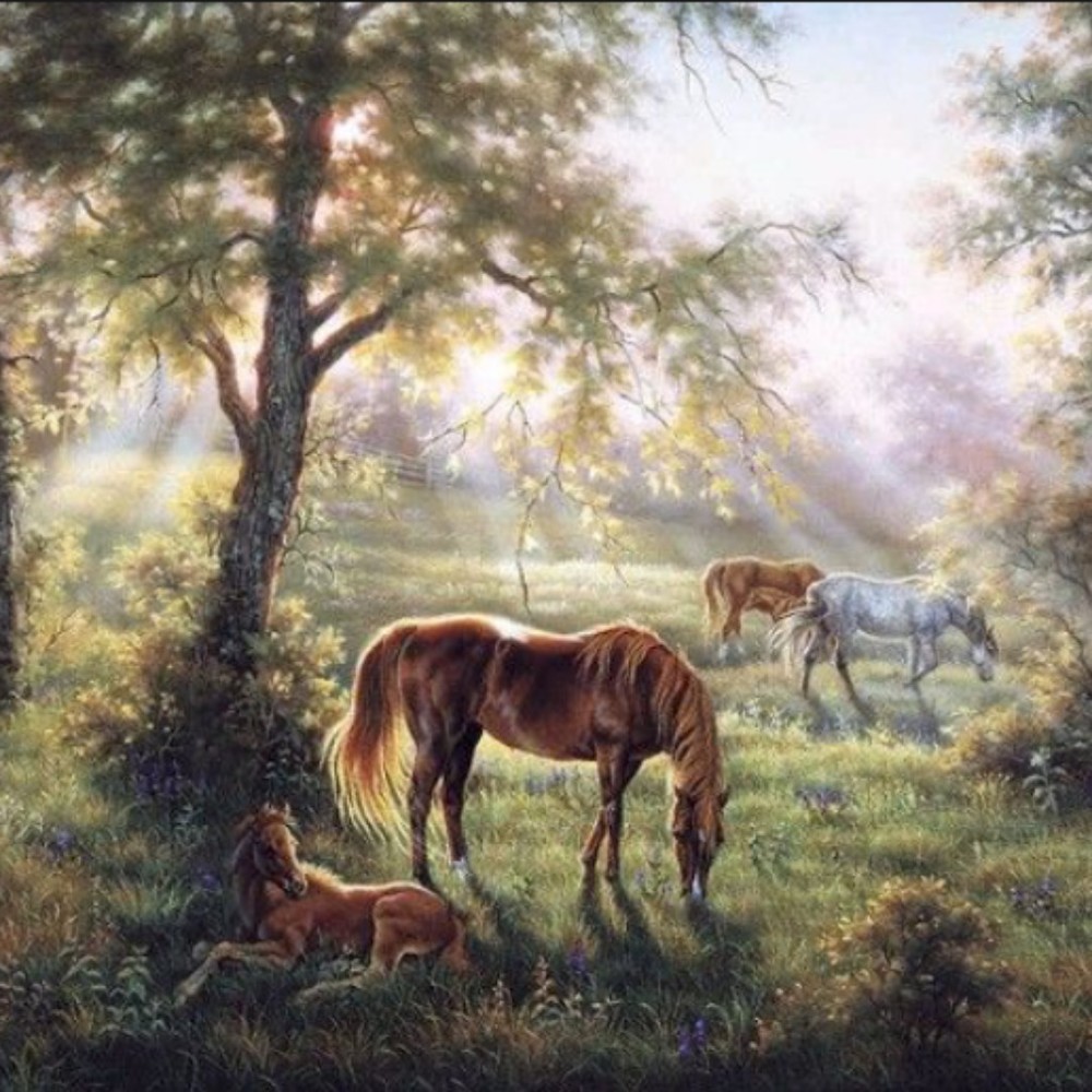 Meet your Posher, Posh